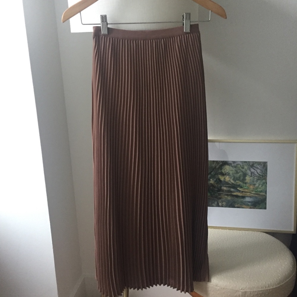 Aritzia Pleated Skirt in Mauve-Toned Pink